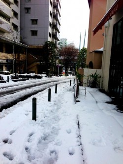 1902068_652896881438731_2052215455_n